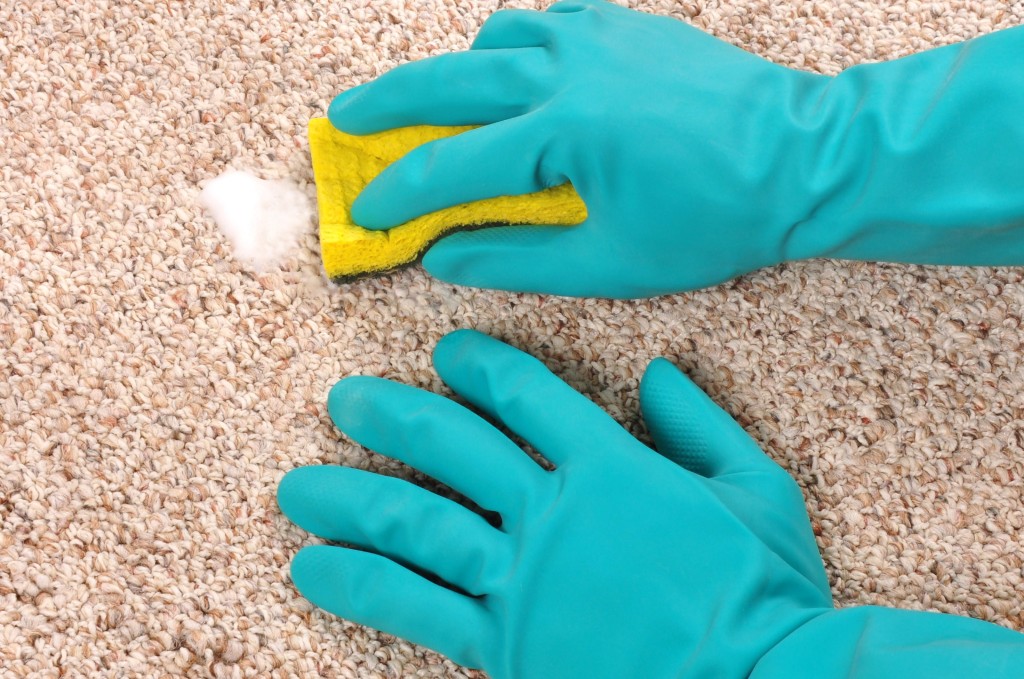 clean-carpet